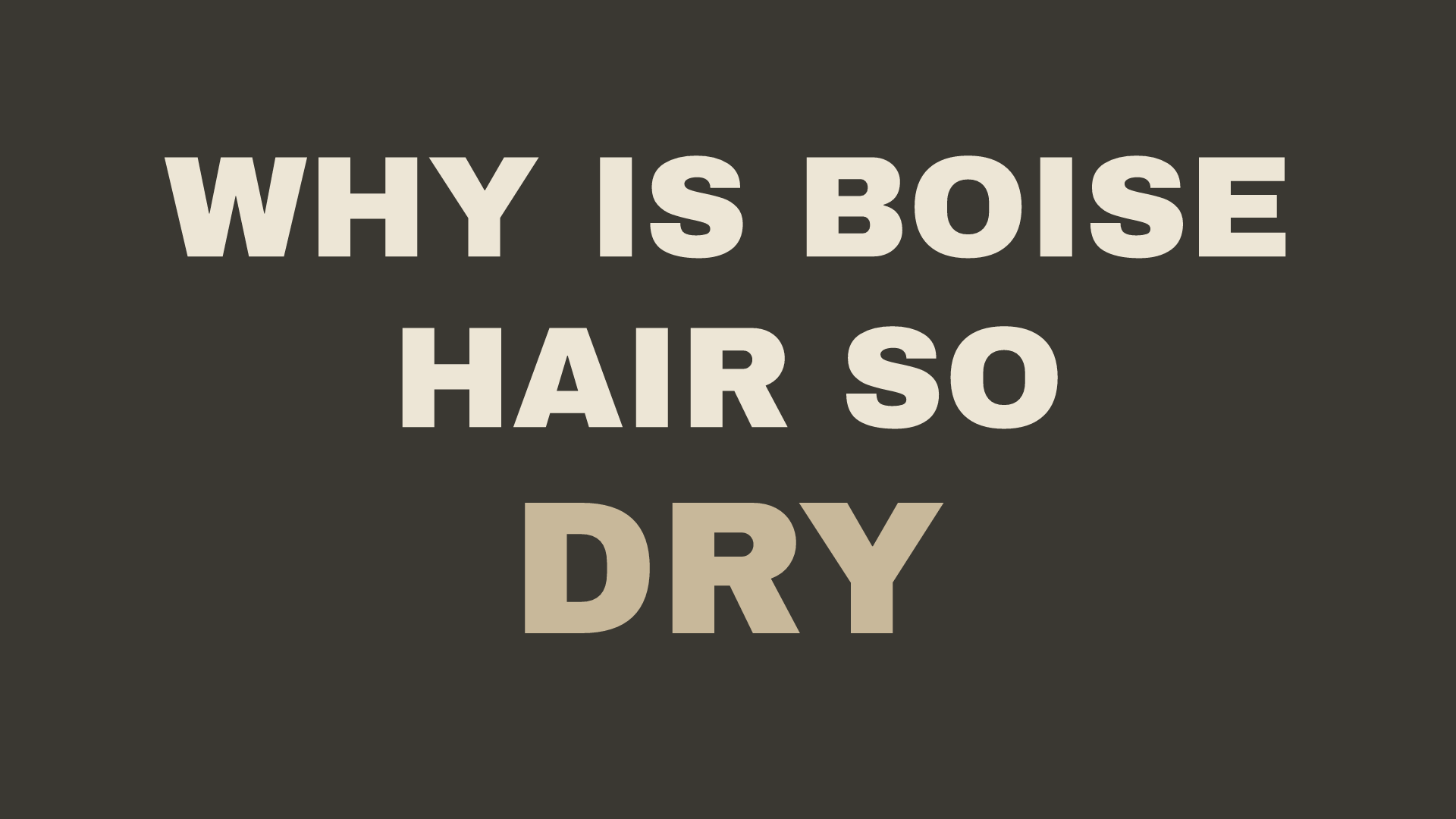 Why Does My Hair Feel So Dry in Boise