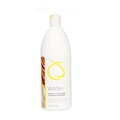 Sunlights Wash Cleansing Shampoo at Sølvi Salon, Boise Idaho