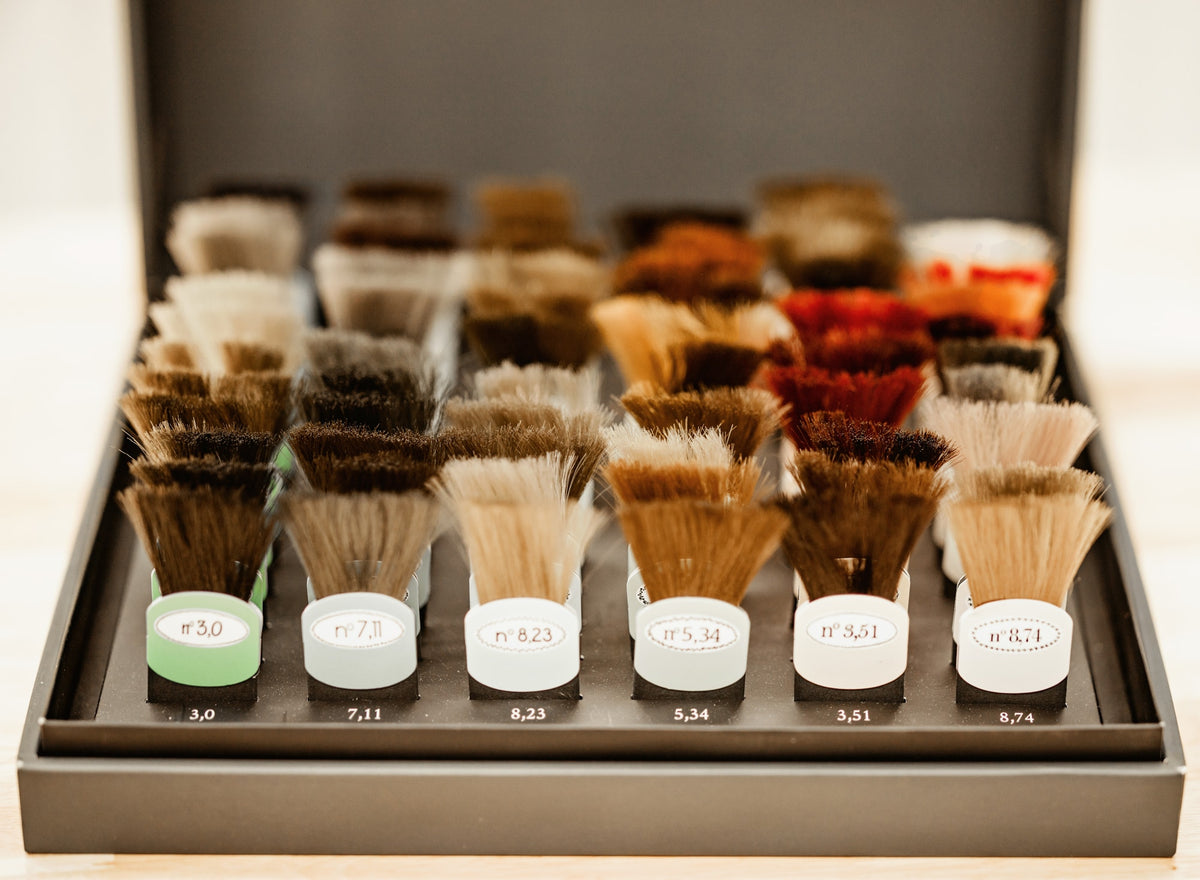 Professional color swatches at Solvi Salon Boise